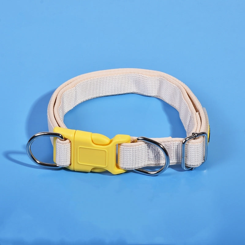 Dog collar for dogs,  alloy D-ring hardware, ideal for leash attachment and daily use
