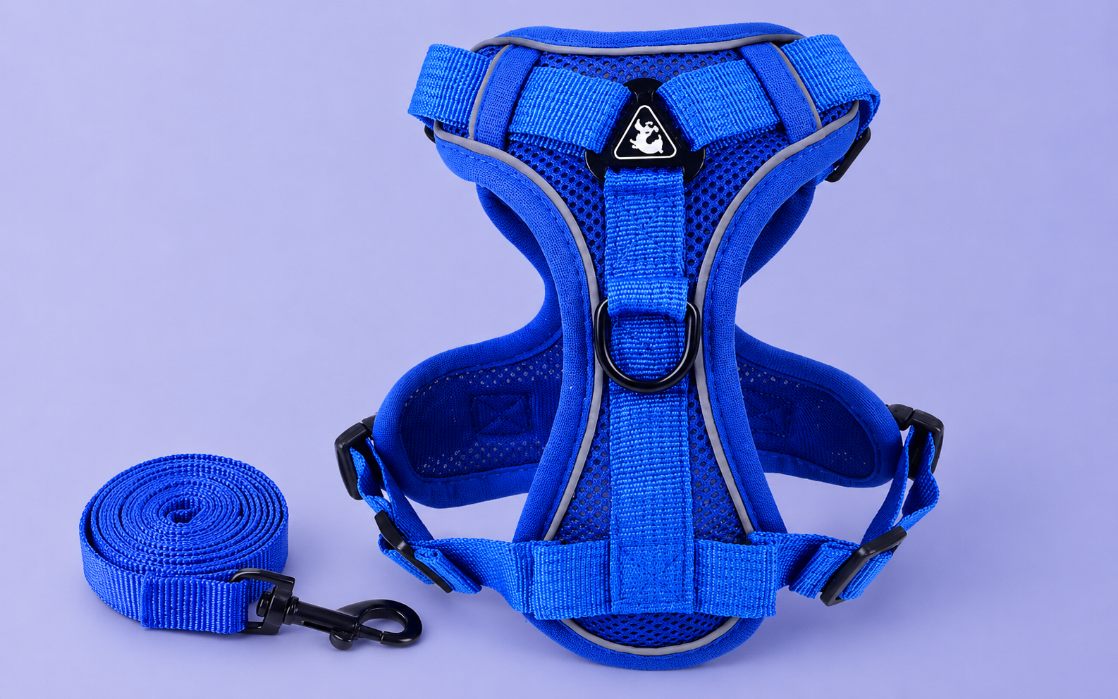 Reflective harness and leash set for small dogs and cats, featuring royal blue breathable mesh with D-ring and matching leash, ideal for small breeds and comfortable daily walks