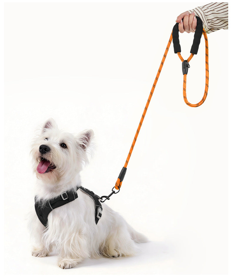 Dog leash for dogs, featuring orange reflective rope and padded handle, ideal for small dogs on outdoor walks