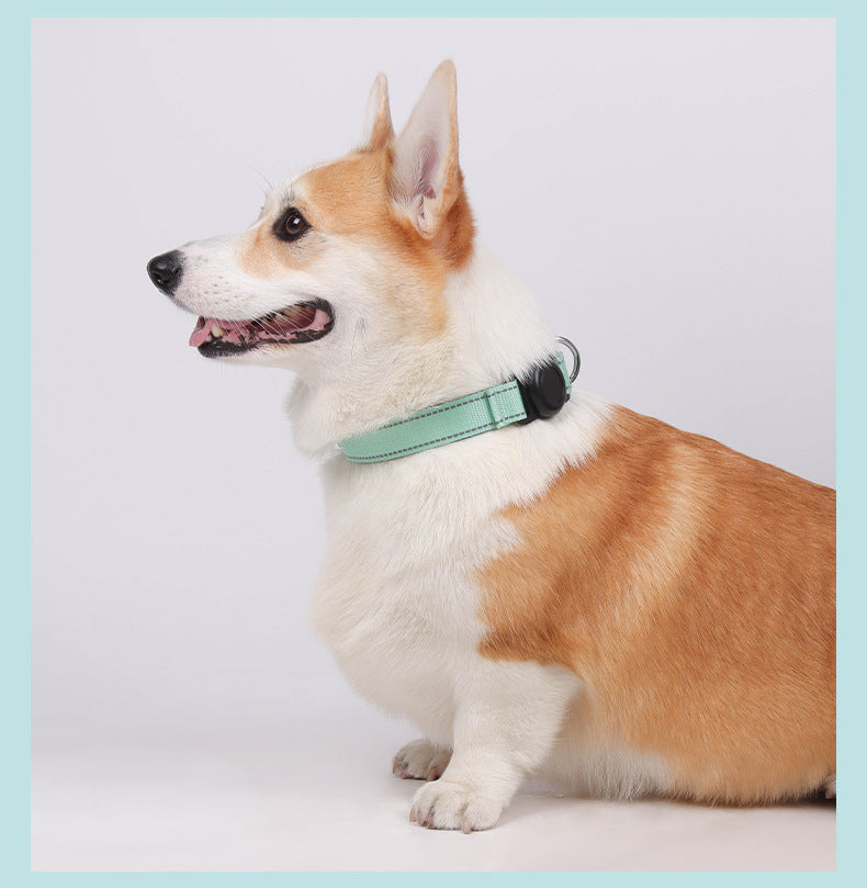 AirTag dog collar for dogs, featuring adjustable and secure AirTag holder, ideal for outdoor adventures and pet location tracking