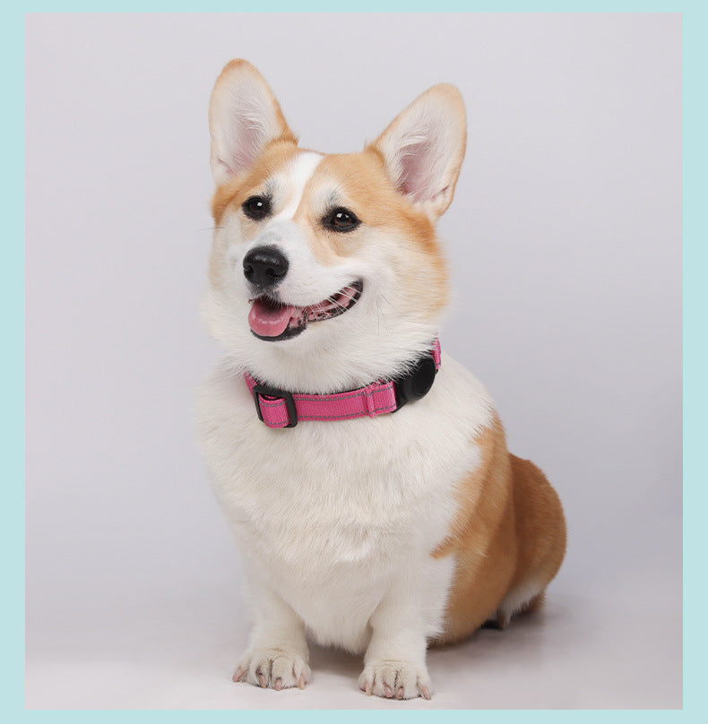 AirTag dog collar for dogs, featuring adjustable and secure AirTag holder, ideal for outdoor adventures and pet location tracking