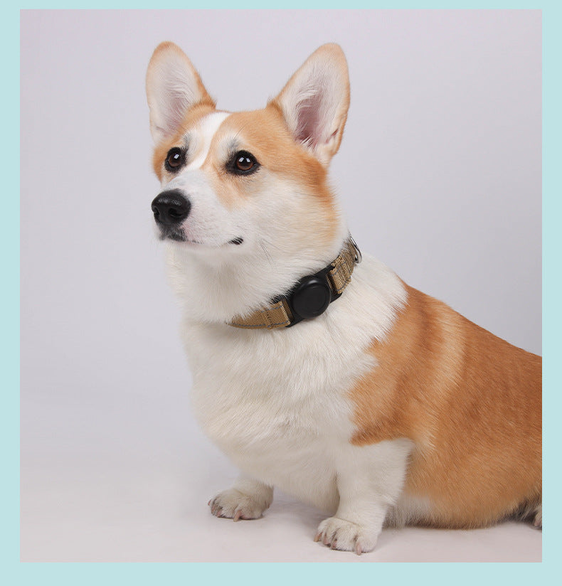 AirTag dog collar for dogs, featuring adjustable and secure AirTag holder, ideal for outdoor adventures and pet location tracking