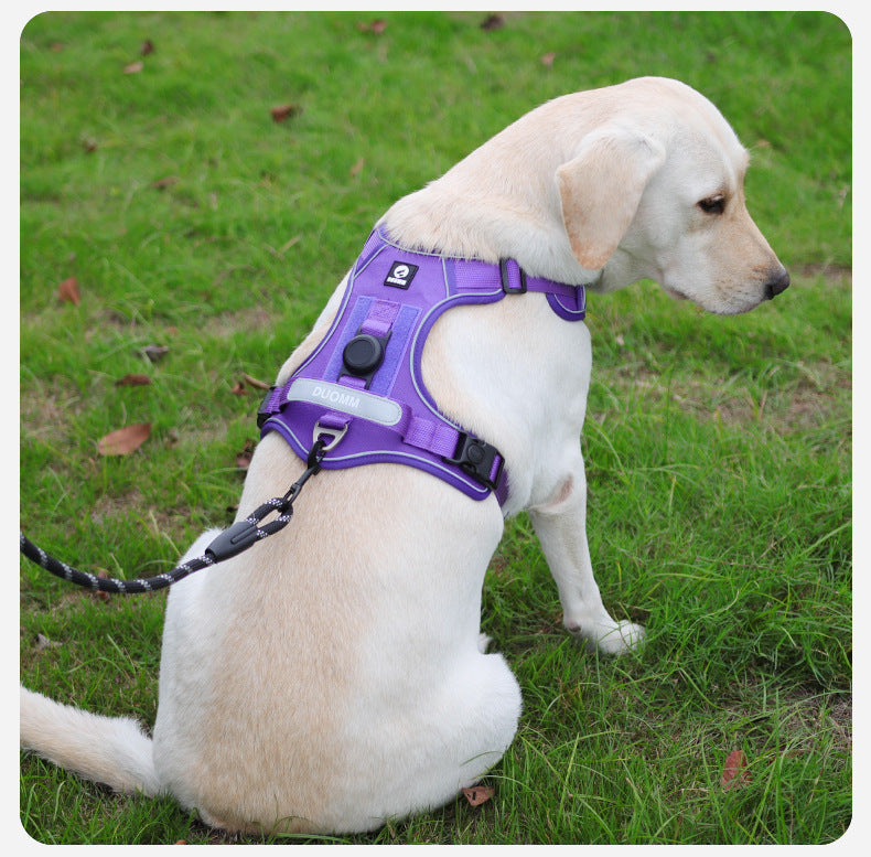 AirTag dog harness and leash combo set for large dogs, featuring  air tag harness with front D-ring and built-in AirTag slot, ideal for no-pull training and  AirTag tracking
