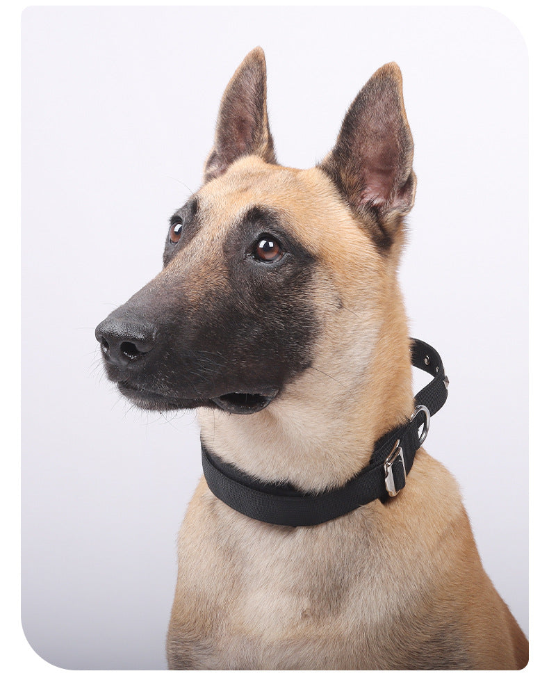 Tactical dog collar for large dogs, featuring padded neoprene lining , ideal for comfortable all-day wear during training