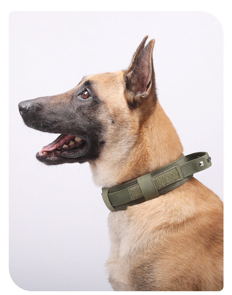 Tactical dog collar for large dogs, featuring stainless steel D-ring, ideal for strong dogs and daily control