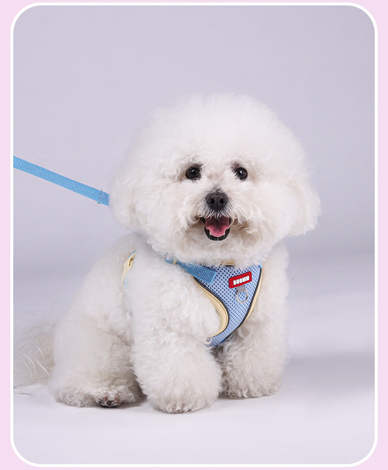 Pet harness and leash set for cats and small dogs, featuring light blue breathable mesh and matching leash with D-ring attachment, ideal for small dogs on daily outdoor walks