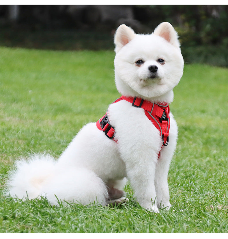 Reflective harness and leash set for small dogs, featuring   with back D-ring leash attachment and reflective strips, ideal for small dogs and secure outdoor walks