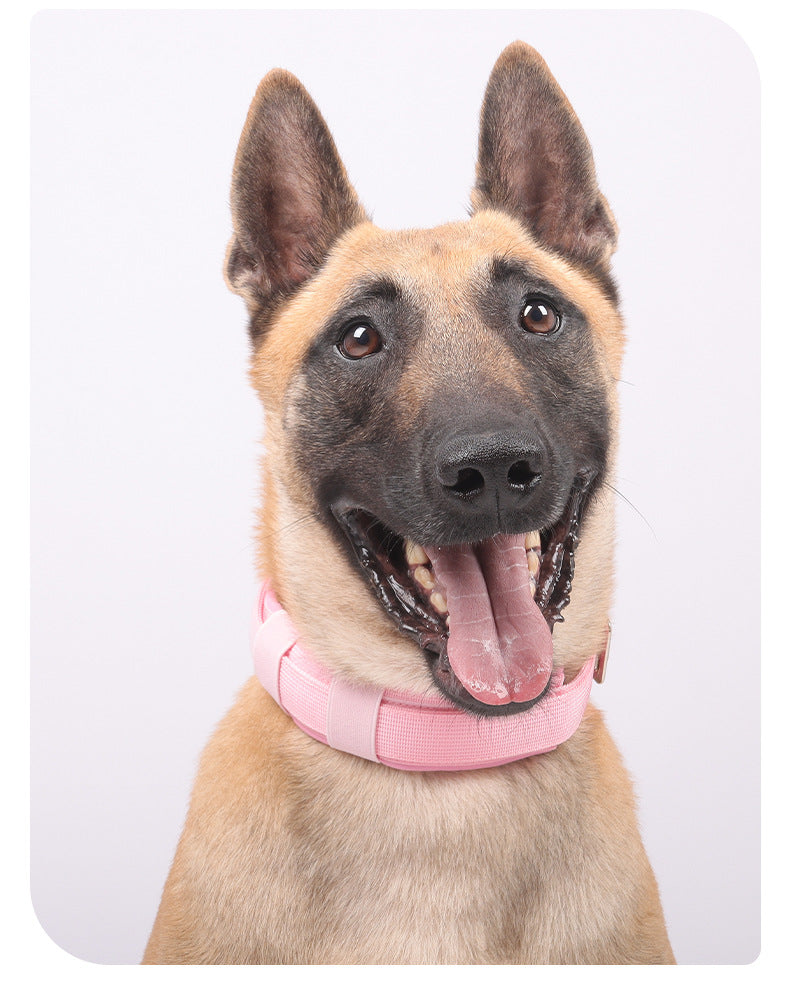 Tactical dog collar for large dogs, featuring pink band and stainless steel hardware, ideal for female dogs in training or daily walks