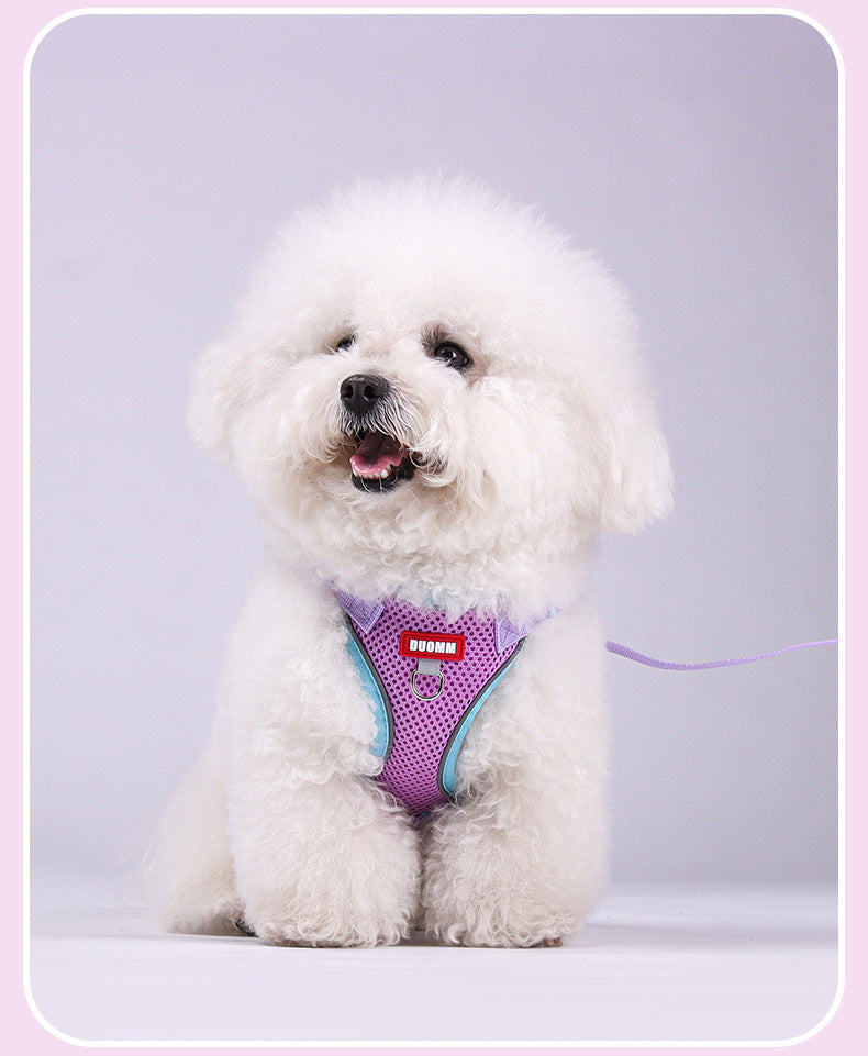 Reflective Mesh Pet Harness & Leash Set — Fits Cats & Small Dogs | Best Value