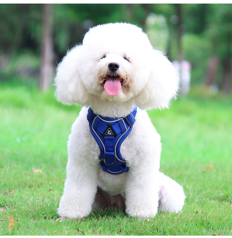 Reflective harness and leash set for small dogs, featuring navy blue adjustable mesh harness with side D-ring and matching leash, ideal for small breeds and comfortable daily outdoor use