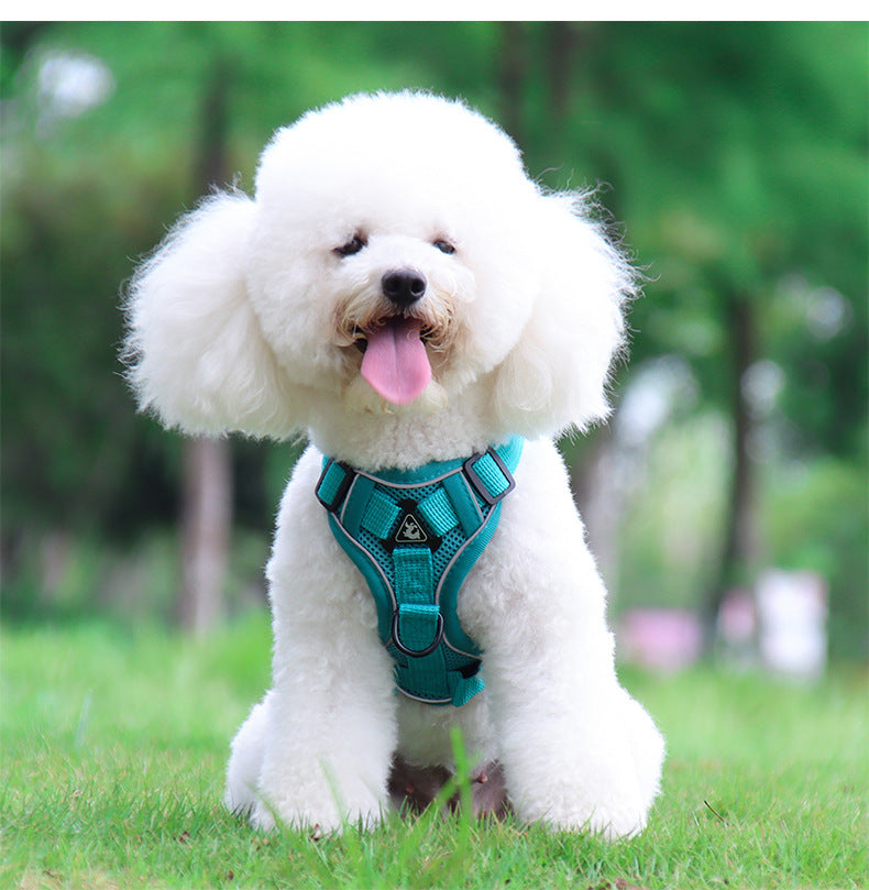 Reflective harness and leash set for small dogs, featuring adjustable mesh harness with side D-ring and matching leash, ideal for small breeds and comfortable daily outdoor use