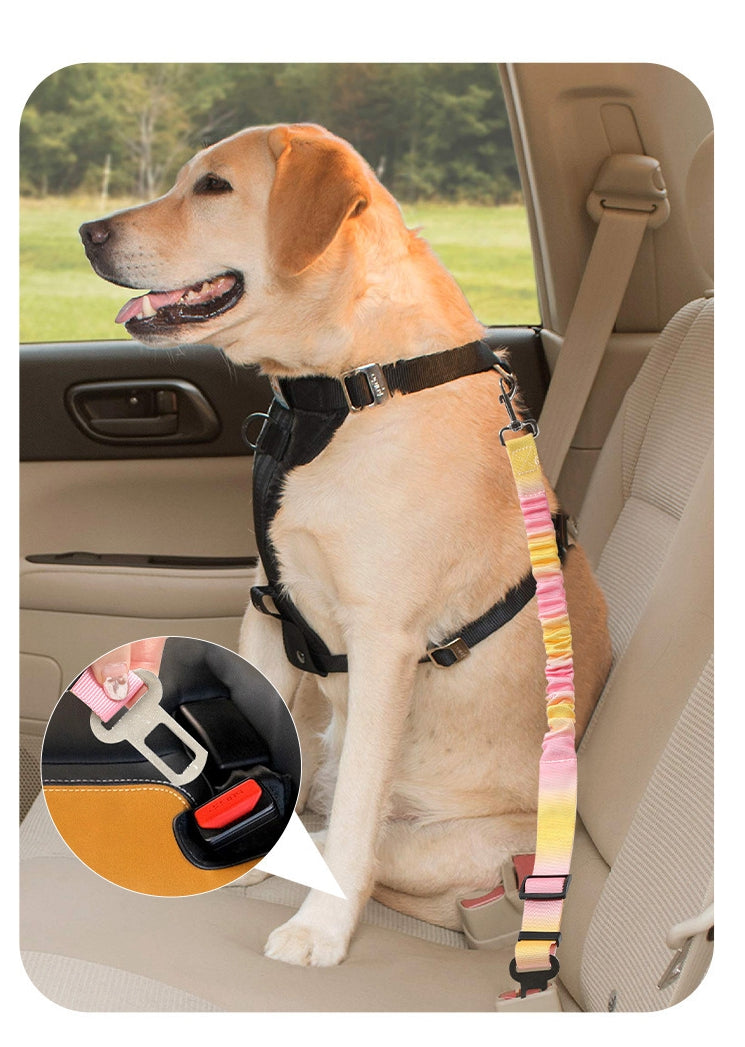 Car safety leash for dogs, featuring one-click seatbelt plug-in buckle and adjustable strap, ideal for large dogs on long car journeys