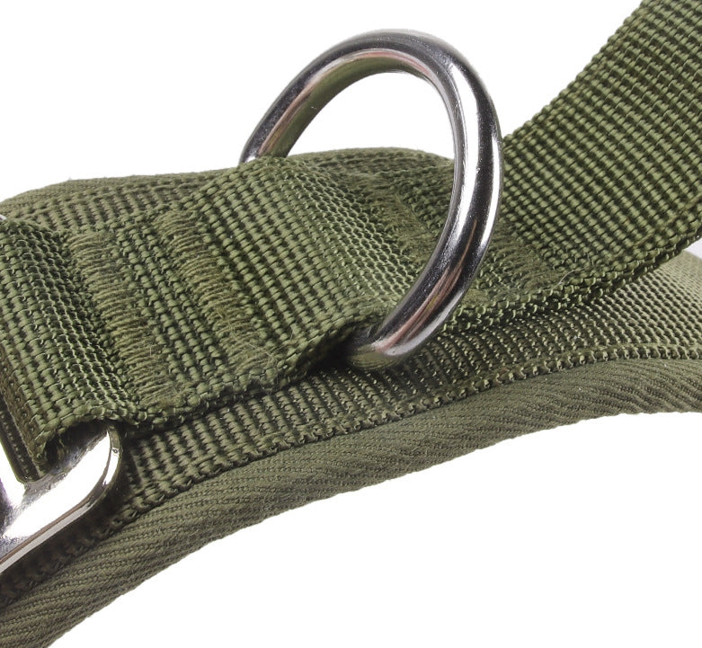 Tactical dog collar for large dogs, featuring heavy-duty stainless steel D-ring and reinforced military green nylon strap, ideal for leash attachment 
