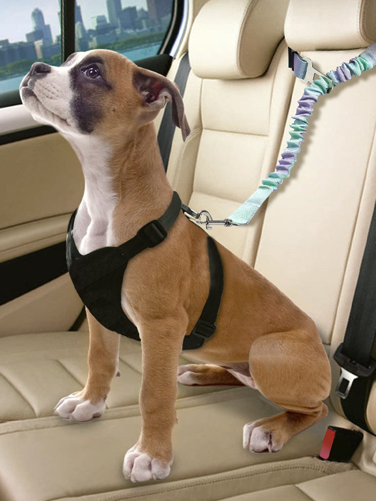 Car safety leash for dogs, featuring bungee stretch cord and swivel snap hook, ideal for restraining dogs safely during car rides