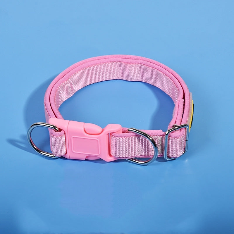 Dog collar for dogs, featuring buckle and alloy D-ring hardware, ideal for leash attachment and daily use