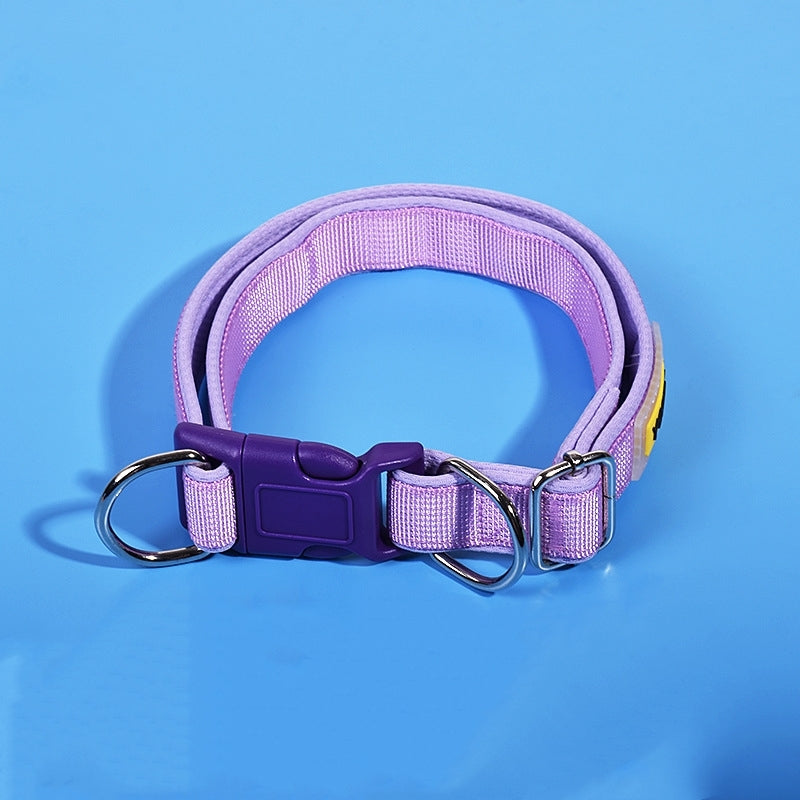 Dog collar for dogs, featuring  soft buckle and alloy D-ring hardware, ideal for leash attachment and daily use