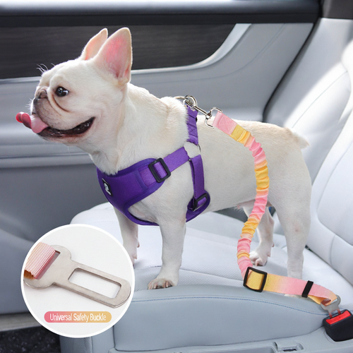 Close-up view of durable clip on ALTIROAM dog vehicle restraint strap
