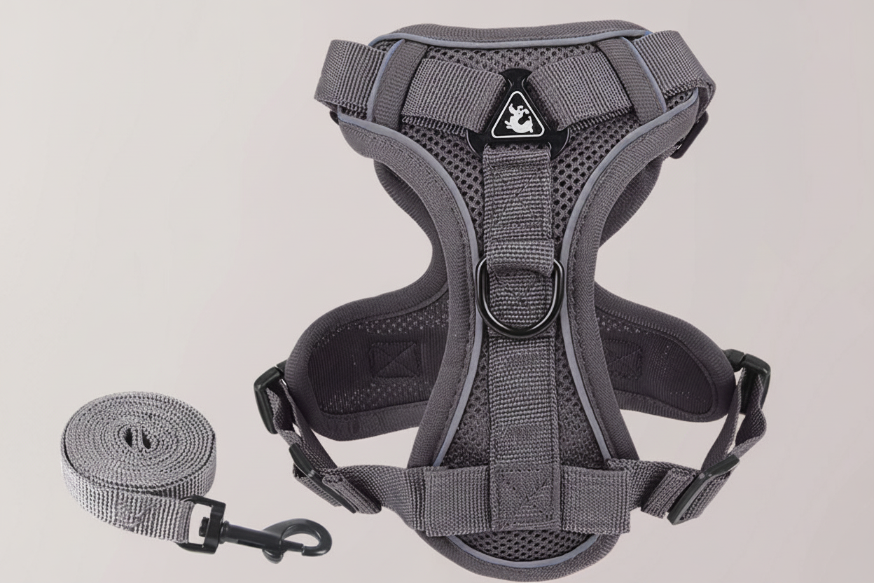 Reflective harness and leash set for small dogs and cats, featuring gray breathable 3D mesh with quick-release buckle and matching leash, ideal for small breeds and lightweight daily use
