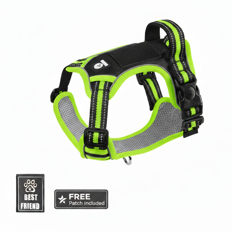 Tactical dog harness for dogs, featuring neon green reflective strips and MOLLE patch panel with free Best Friend patch included, ideal for high-visibility training and outdoor use