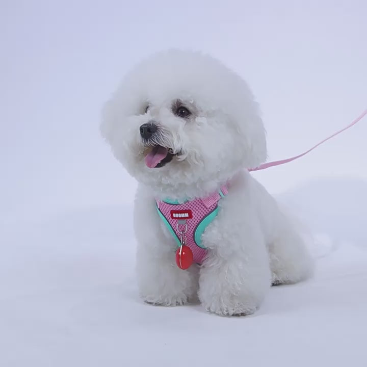 Pet harness and leash set for cats and small dogs,  reflective mesh with safety buckle, comfortable  ideal for cats and escape-proof outdoor walks