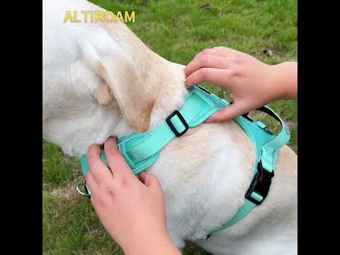 Reflective Escape-Resistant Dog Harness — With built-in holder