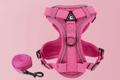 Reflective harness and leash set for small dogs and cats, featuring rose pink breathable mesh with D-ring and matching leash, ideal for female pets and stylish daily walks
